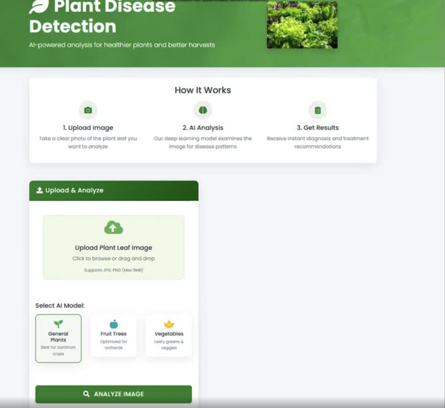 Potato Disease Classifier